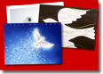 Beautiful Christmas Cards