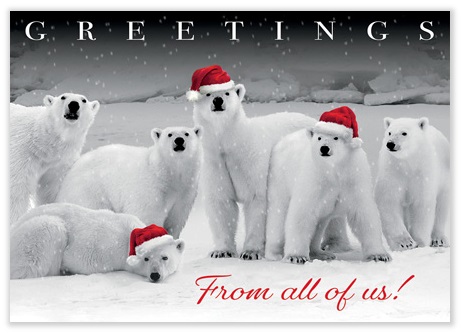 Polar Bear Christmas Cards